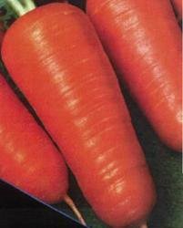 Tantra Magazine
