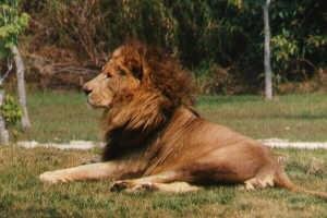 tantric relationship