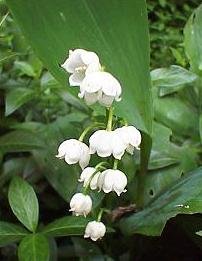 tantric relationship